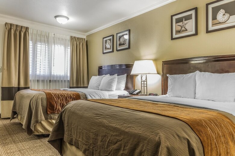 Hotel Comfort Inn Santa Cruz