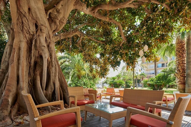 Hotel H�tel Vacances Bleues Royal Westminster