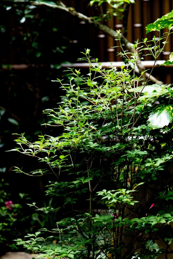 Musubi Hotel Kyoto Sanjo Villa
