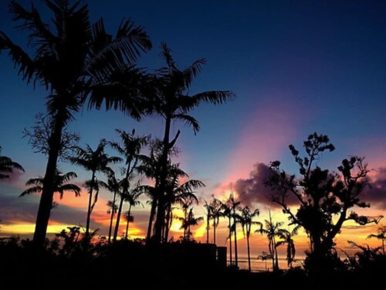 Apartamento Tanna Evergreen Resort & Tours