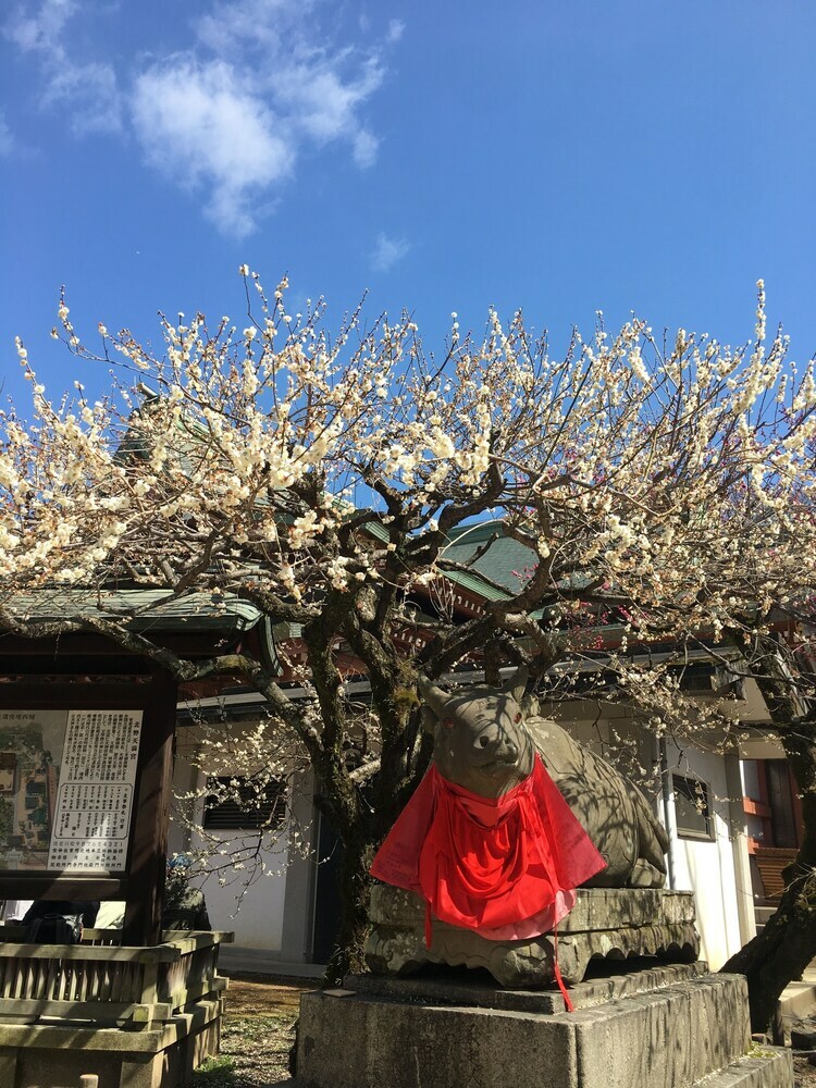 Hostal Tsubame-ya - Hostel