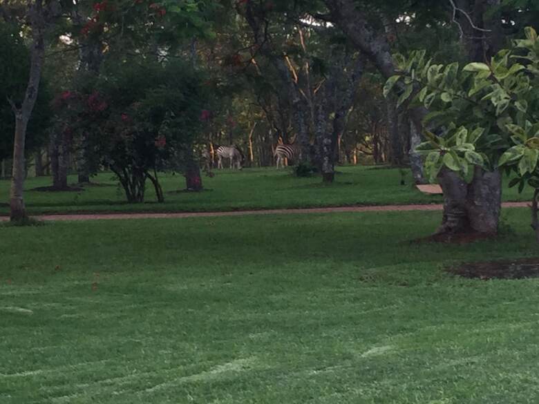 Posada Manna Resorts