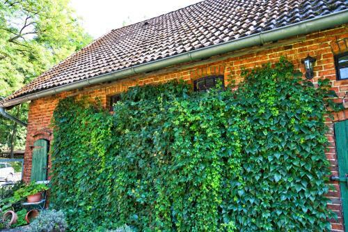 Hostal Landgasthof Drei Linden