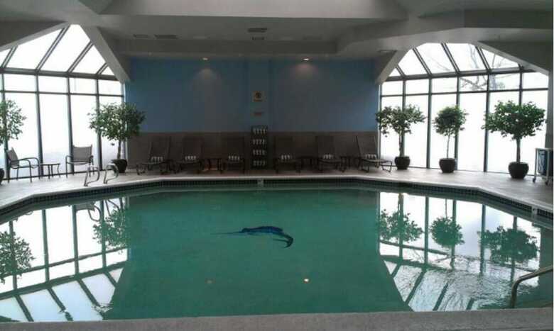 Hotel Doubletree By Hilton Denver - Westminster