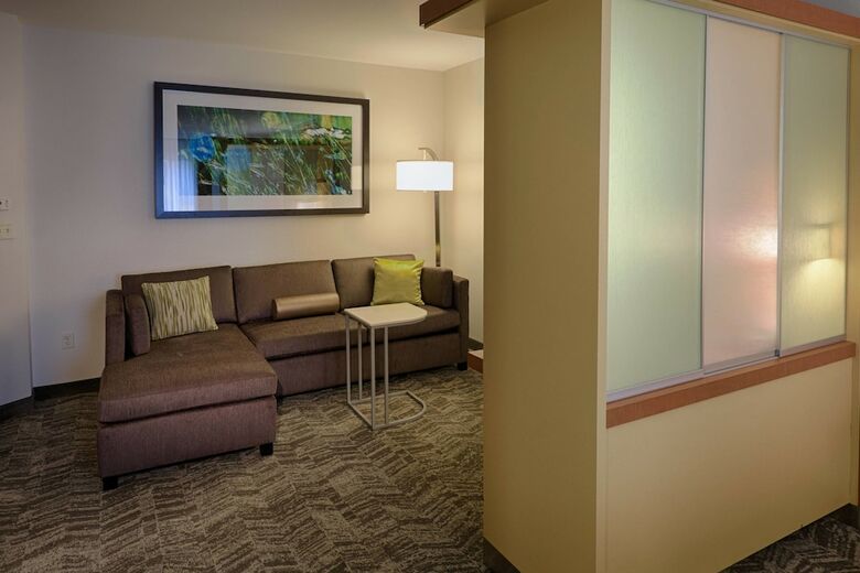 Hotel Springhill Suites By Marriott Albany-colonie