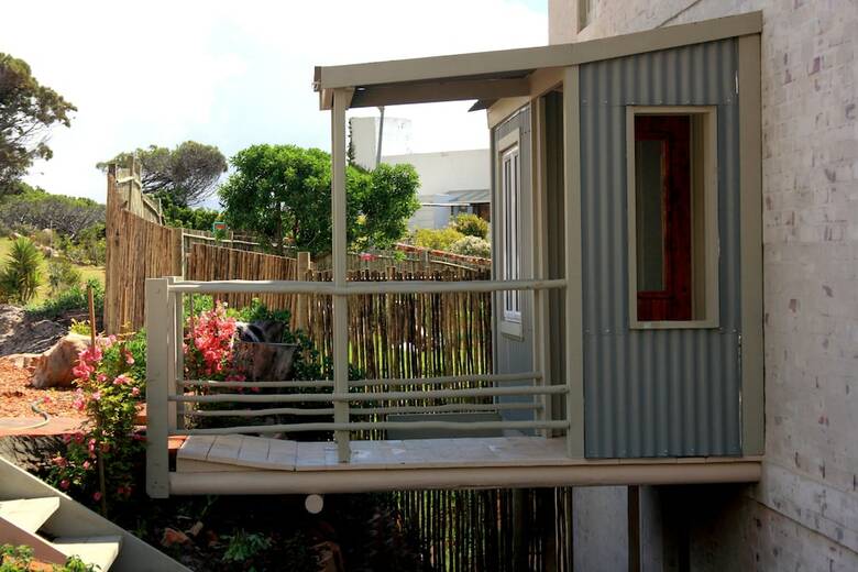 The Flying Penguin - In Cape Town (Cape Peninsula)