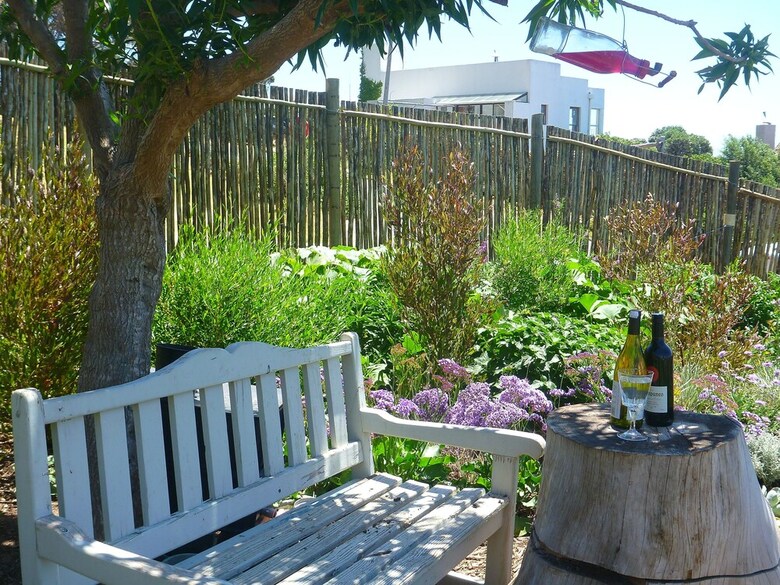 The Flying Penguin - In Cape Town (Cape Peninsula)