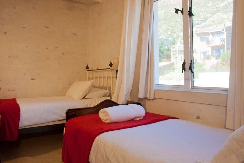 The Flying Penguin - In Cape Town (Cape Peninsula)