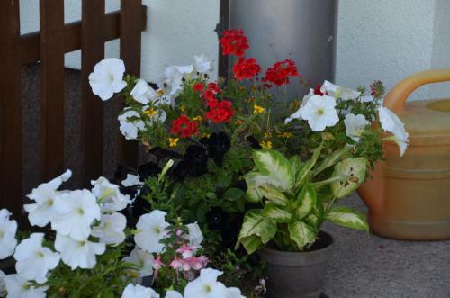 Hotel Zur Br�cke