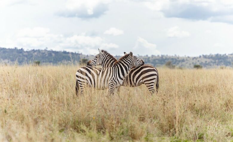 Hotel Melia Serengeti Lodge