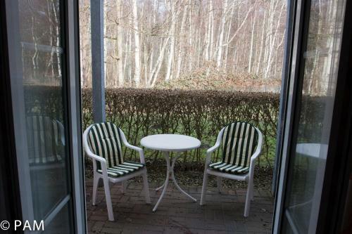 Apartamento Studio Mei�ner - Parkresidenz Dierhagen