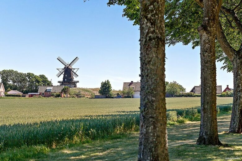 First Camp M�lle
