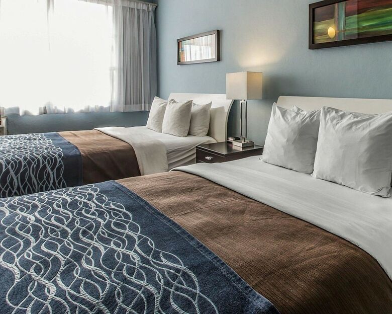 Hotel Comfort Inn & Suites Levittown