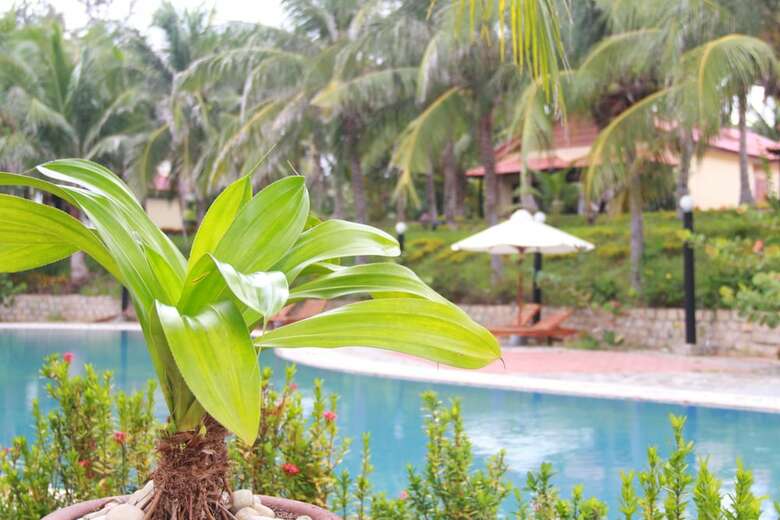 Hotel Golden Peak Resort & Spa Phan Thiet