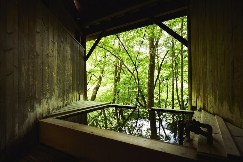 Tateshina Shinyu Onsen