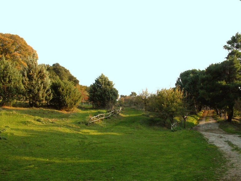 Agroturismo Agriturismo Bosco Pianetti
