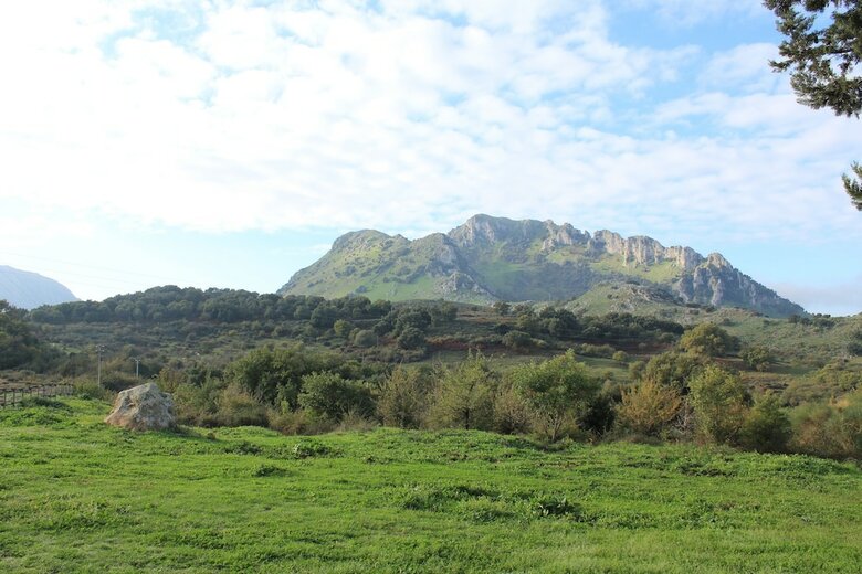 Agroturismo Agriturismo Bosco Pianetti