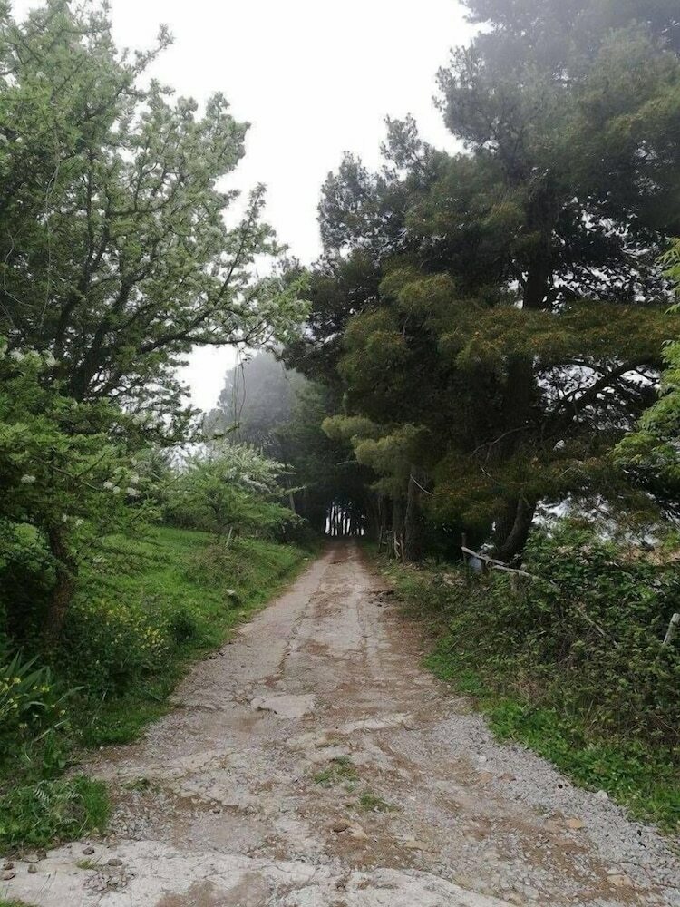 Agroturismo Agriturismo Bosco Pianetti