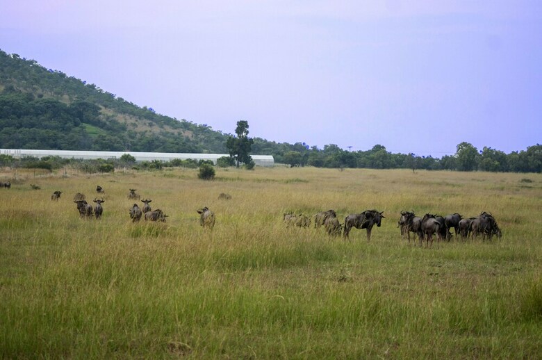 Hotel Kedar Heritage Lodge, Conference Centre & Spa