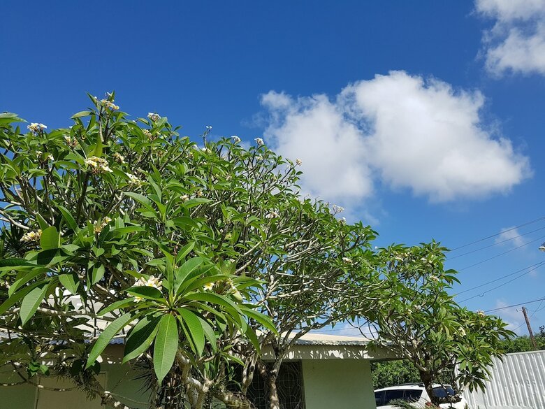 Apartamentos Saipan Family Residence