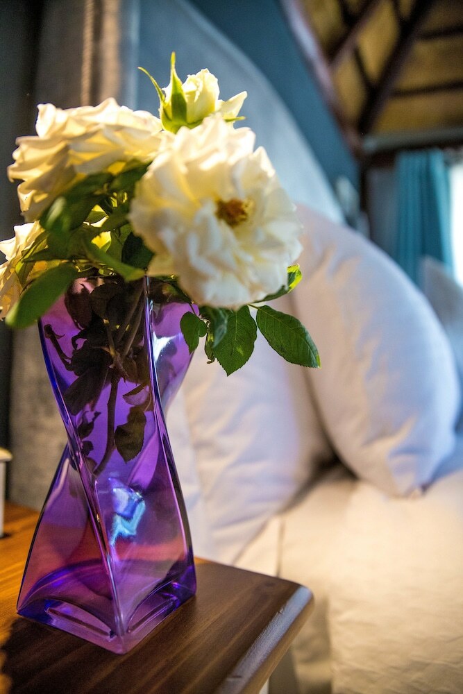 Tshiberry Bed & Breakfast