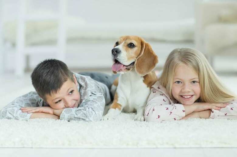 Boutique Stays - Roxys Place, Prahran