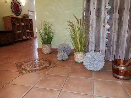 Apartamentos Ferienwohnungen Auf Der D�ne