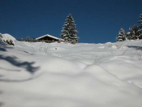 Hostal Hotel Garni Sonneneck