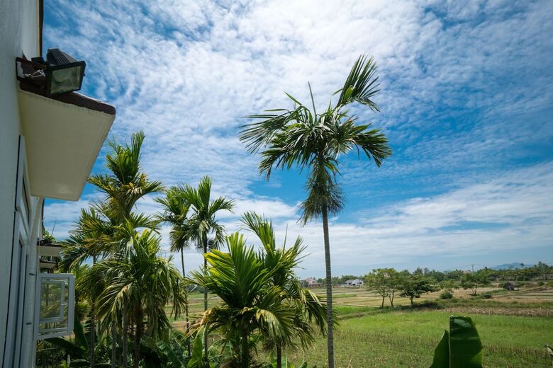 Hotel River Field Hoi An Homestay
