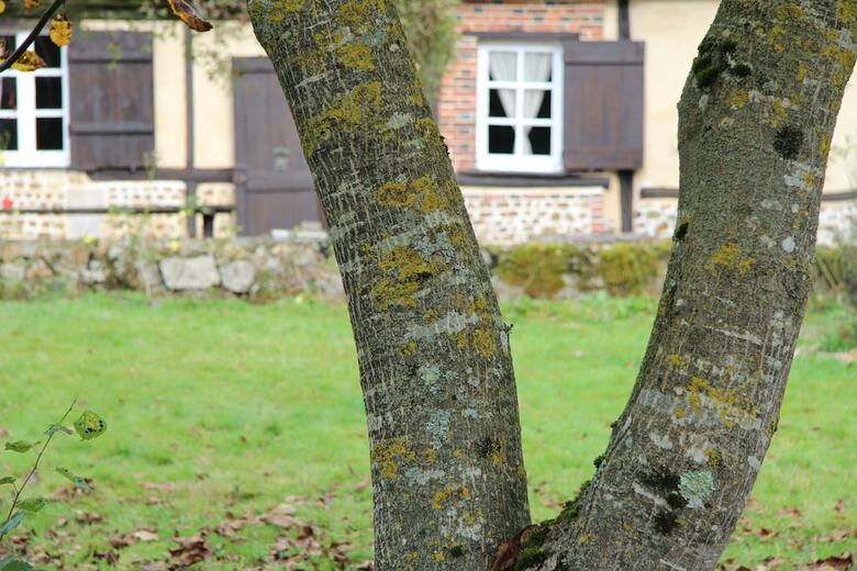 Hotel Le Pommenial de La H�rissonni�re