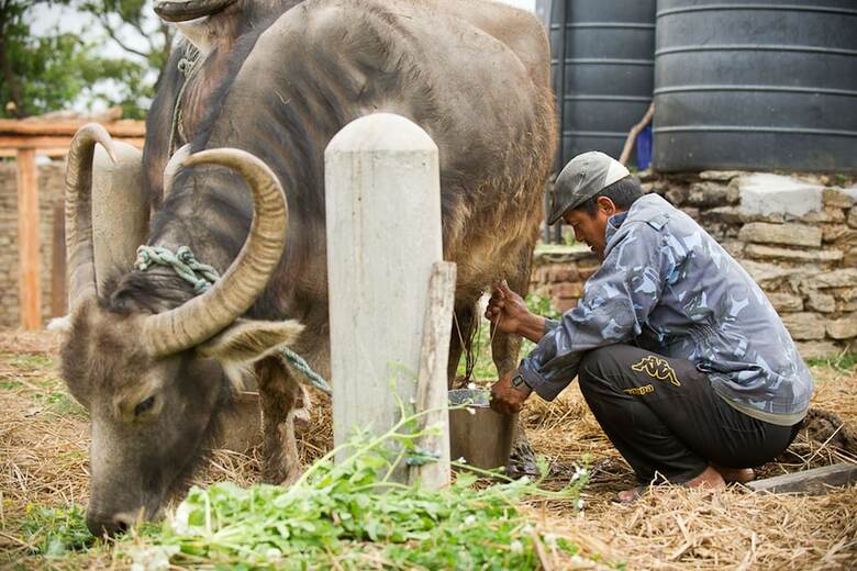 Hotel Hananoie-a Permaculture Resort