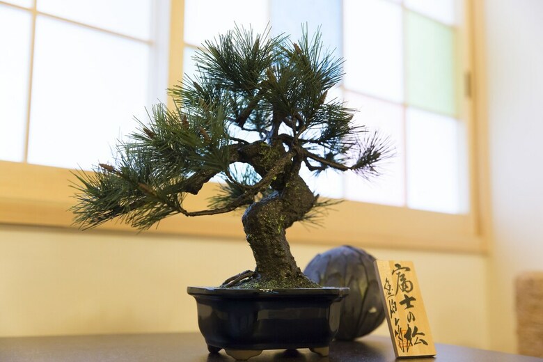 Kyomachiya Gion Kanau