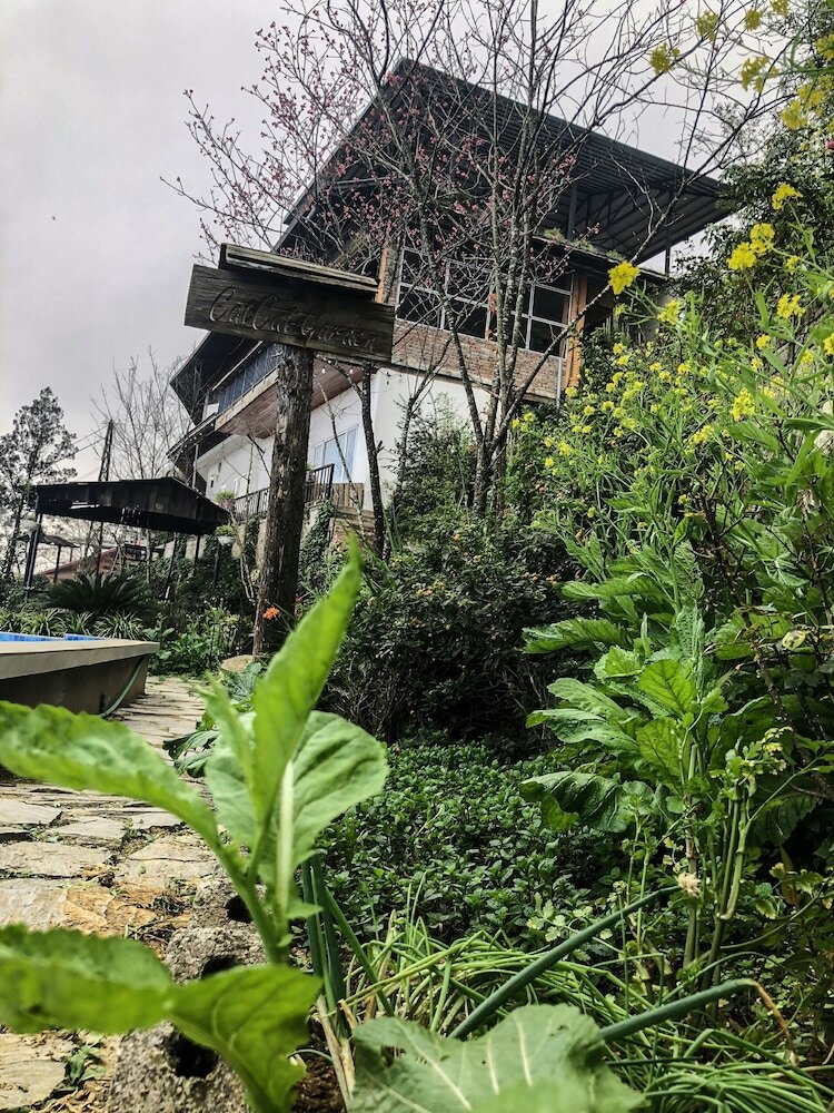 Hotel Catcat Garden House
