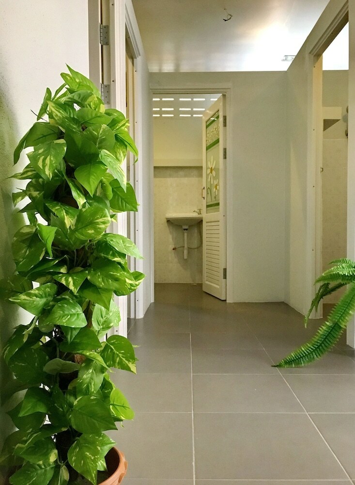 Hostal Tato House