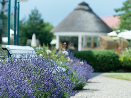 Travel Charme Ostseehotel K�hlungsborn