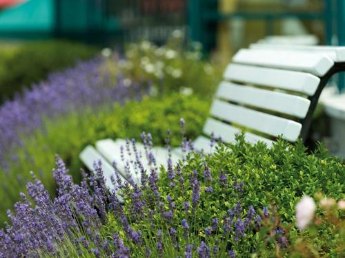 Travel Charme Ostseehotel K�hlungsborn