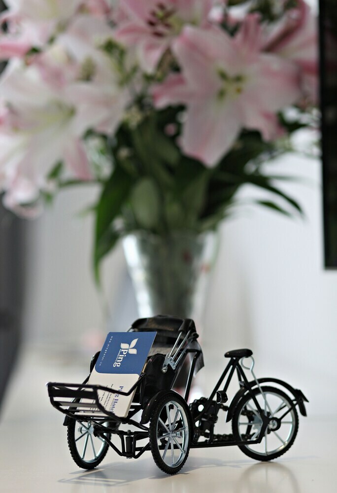 Hanoi Ping Luxury Hotel