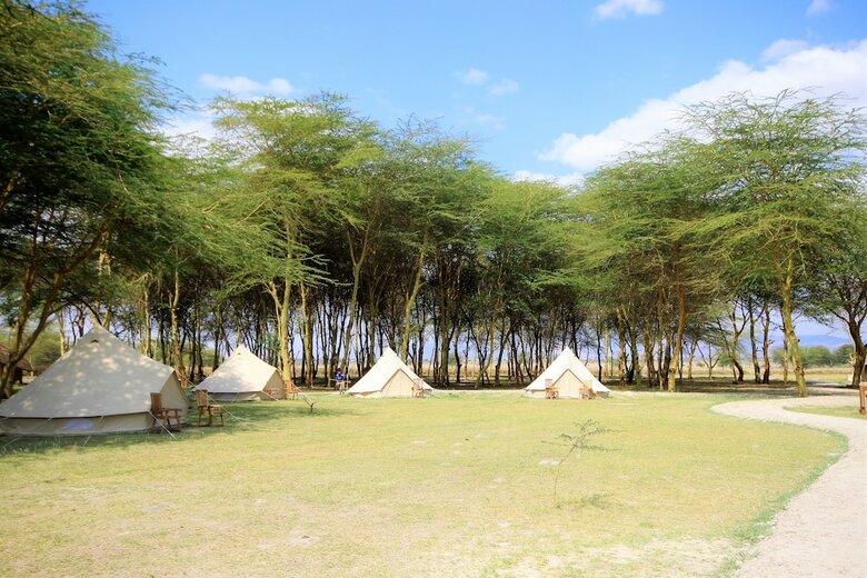 Africa Safari Lake Manyara