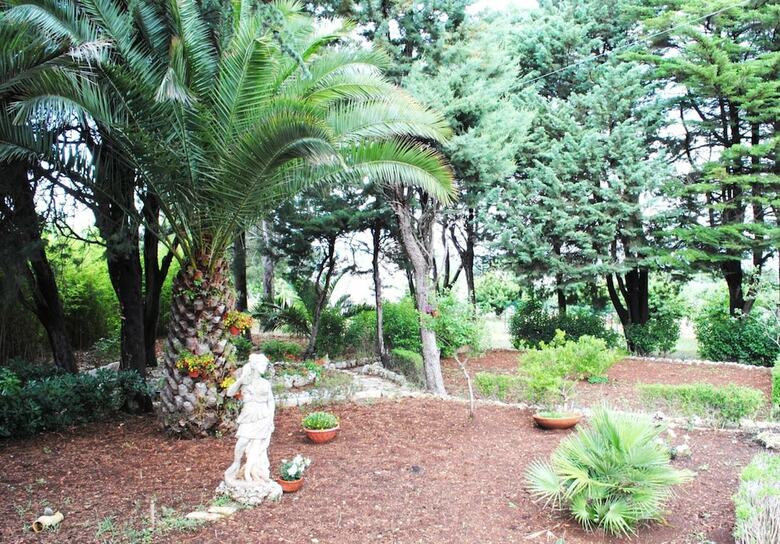 Bed & Breakfast Dimora Romano