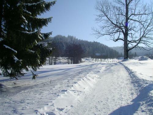 Ferienclub Maierh�fen
