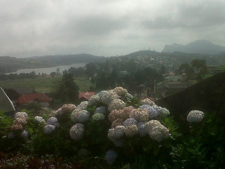 Hotel Dewy Cottage Nuwara Eliya