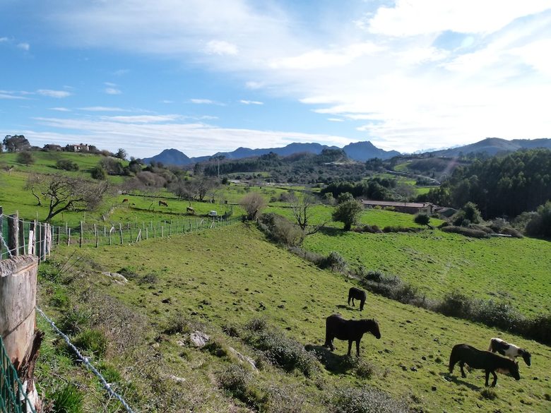 Hotel Finca Los Venancios