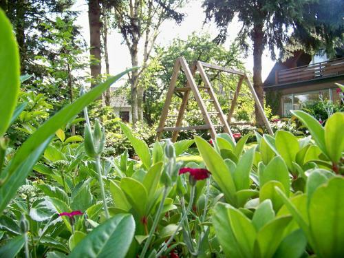 Hostal Pension Wendler