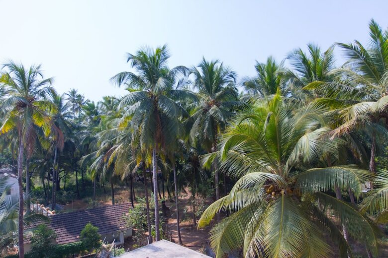 Apartamentos Aqua De Goa