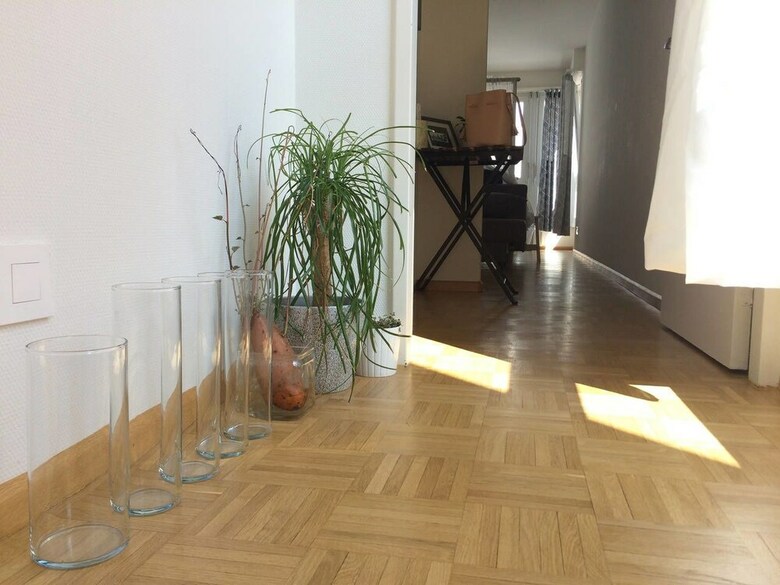 Apartamentos In Swiss Home Rhine Riverside