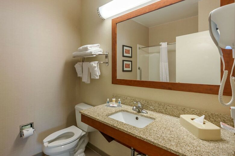 Hotel Comfort Inn Dfw North-irving