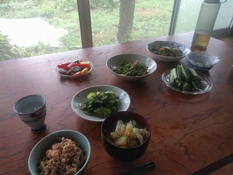 Hotel Tomo's Hut In Japanese Old Style