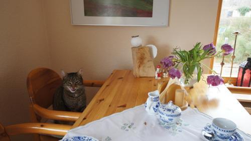 Hostal Pension Moritz Und Hofladen Unterm Storchennest