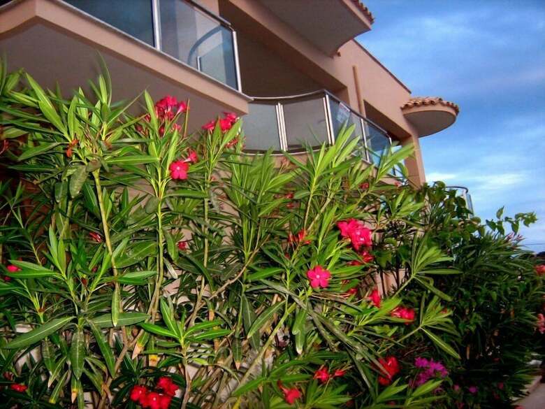 Apartamento San Marco In Riva Al Mare