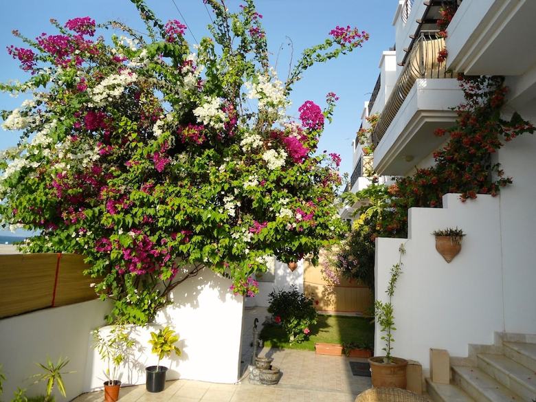 Bed & Breakfast Lana Villa